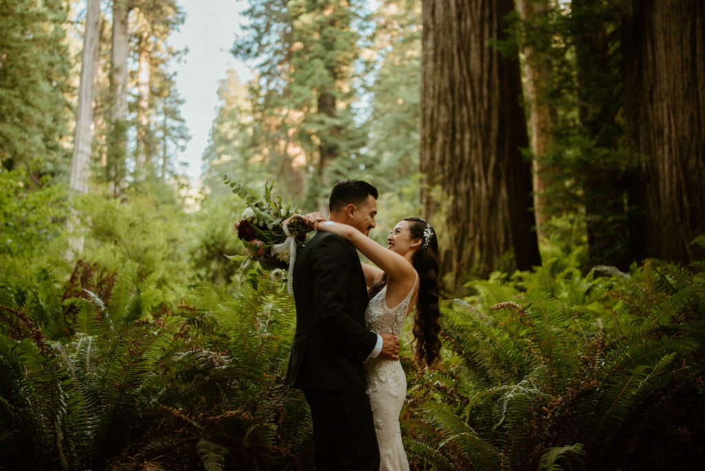 Redwoods State Park Anniversary Session