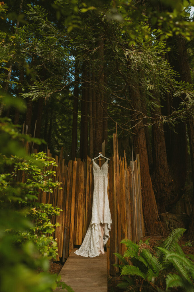 redwoods treehouse