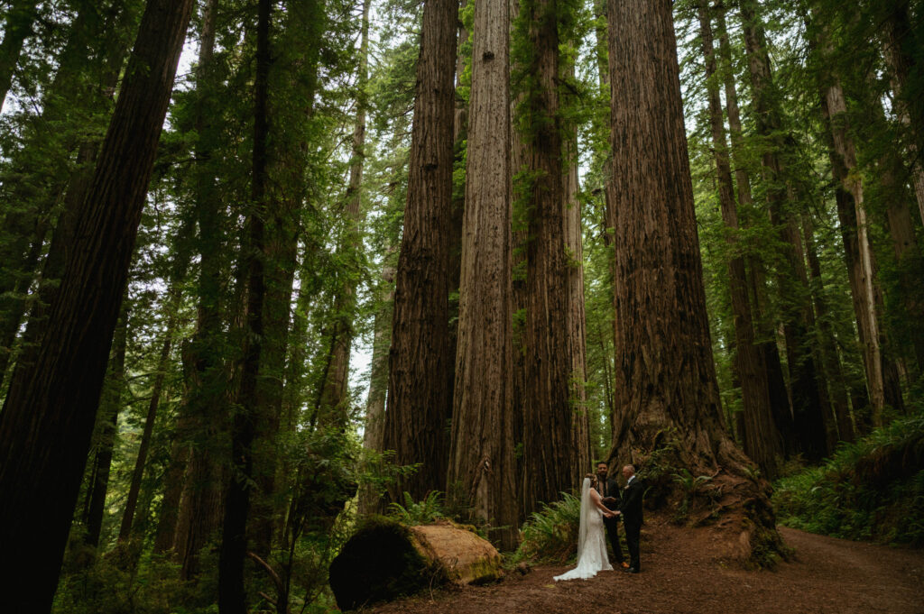 redwoods national park elopement